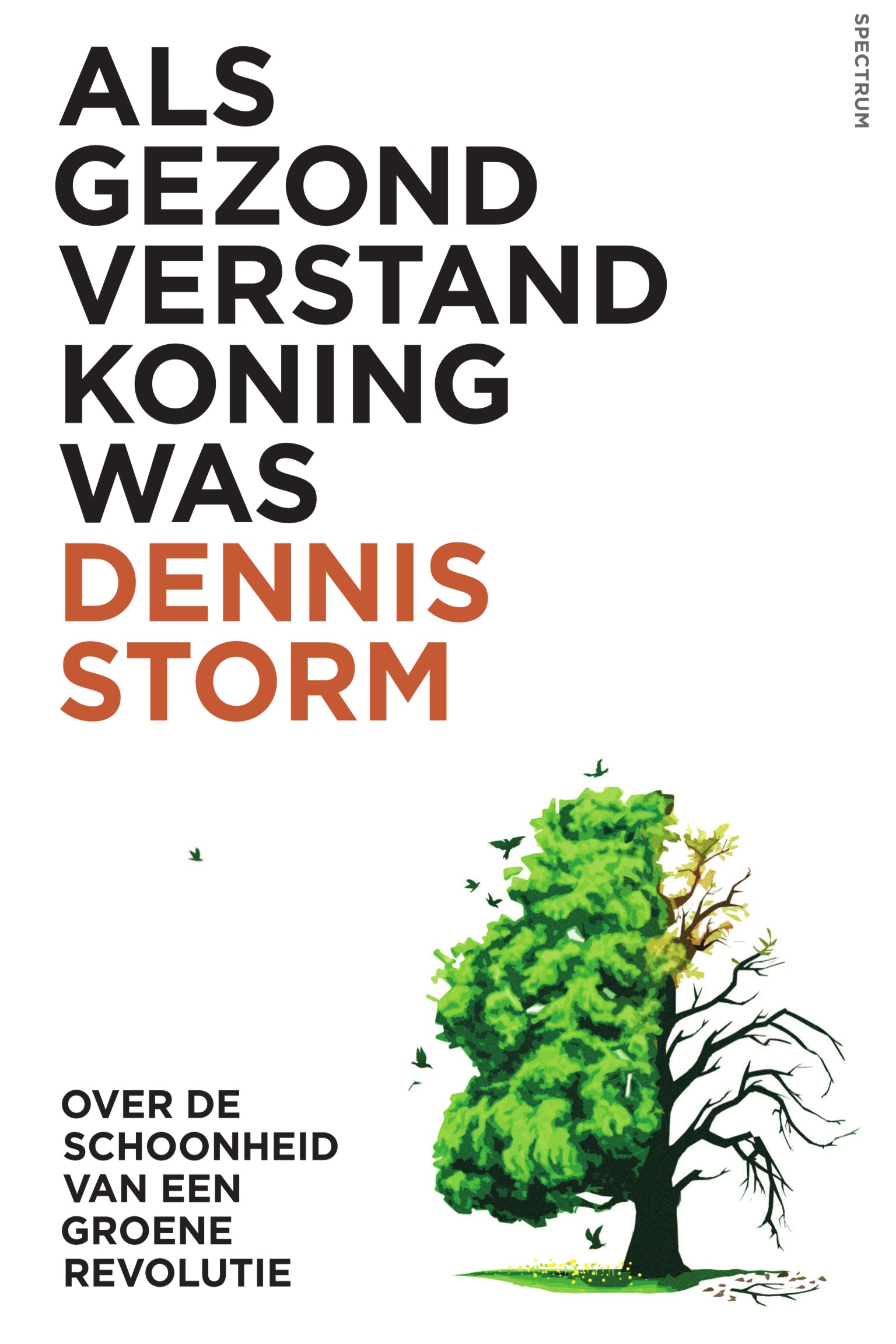 Dennis storm